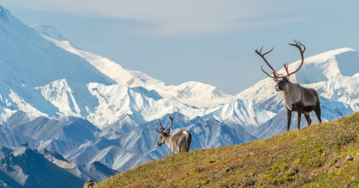 Starting a Business in Alaska: 8 Essential Steps