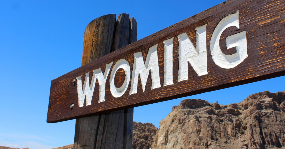 Wyoming LLC Operating Agreement: Drafting Checklist