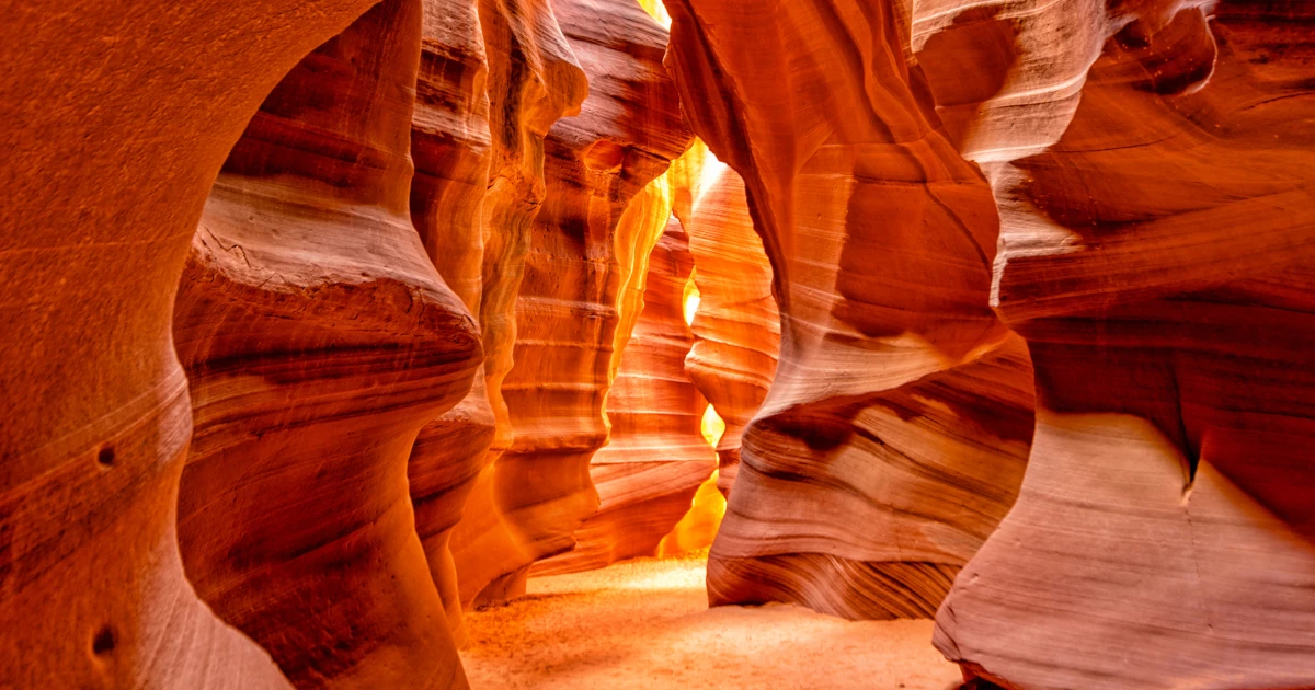 How to Apply for a Business License in Arizona