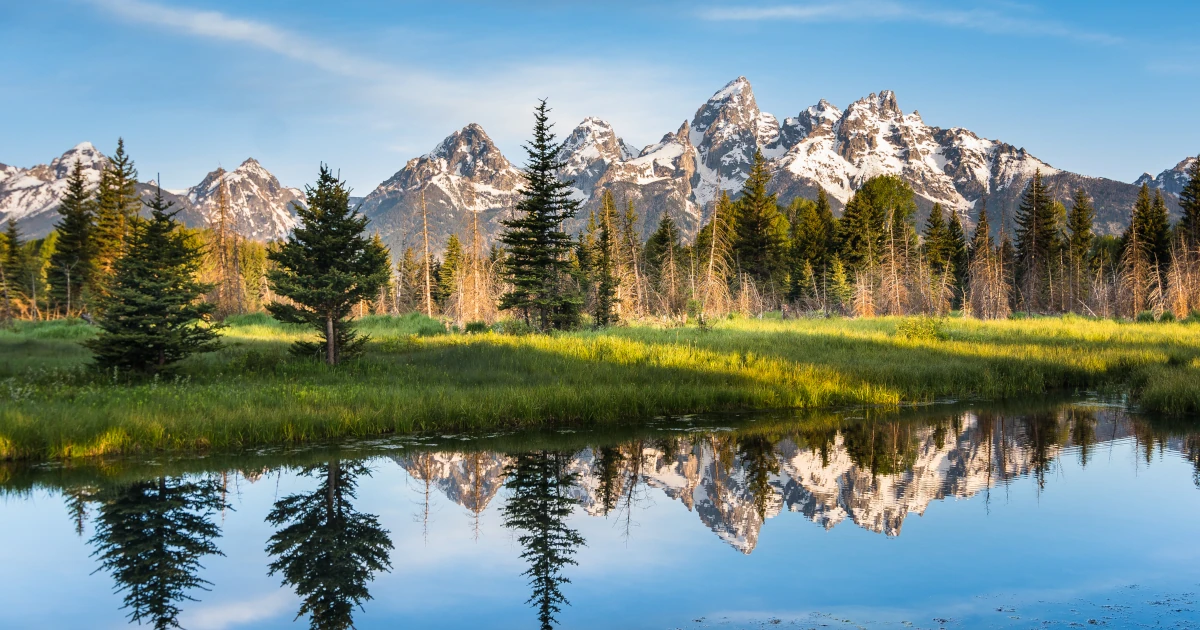 How to Get a Registered Agent in Wyoming