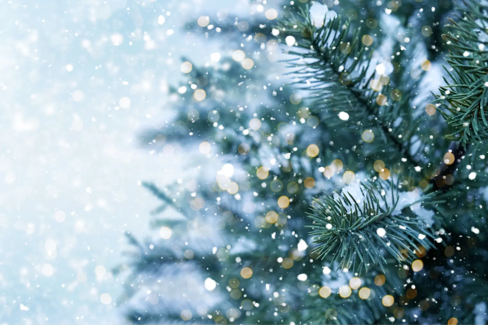 How Much do the "Twelve Days of Christmas" Cost in Your State?