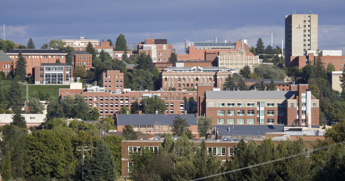 How to Apply for a Business License in Washington