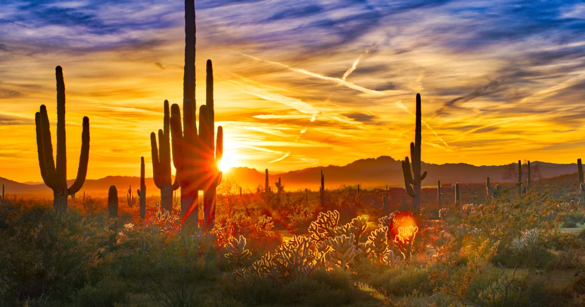 How to Get an Arizona DBA Name