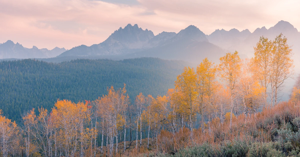 Idaho LLC Operating Agreement: Drafting Checklist