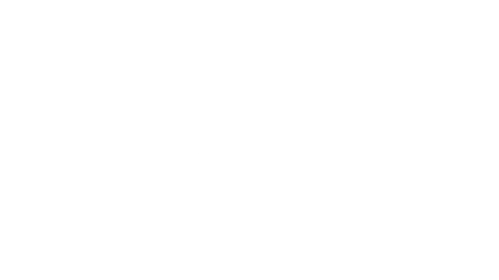 startup-wise